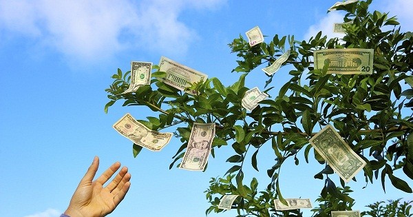 Masan Consumer, PNJ và loạt doanh nghiệp chốt quyền chia cổ tức tuần tới: 'Tiền tươi' chảy mạnh về túi cổ đông dịp đầu năm