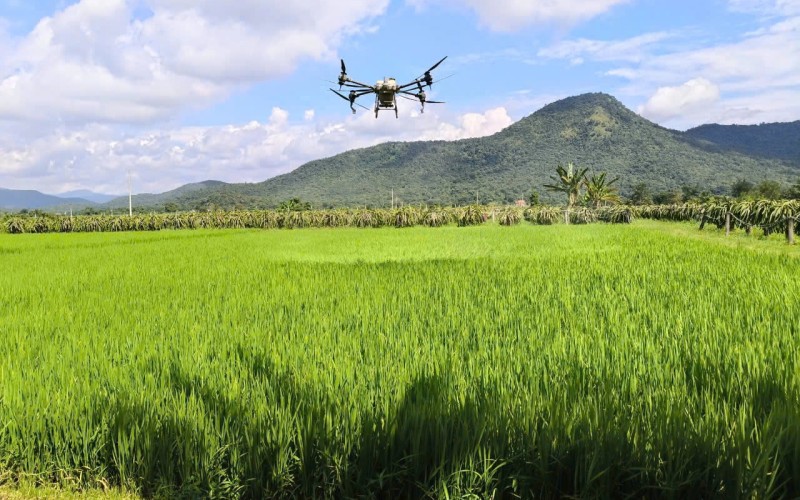 Tương lai mới trên những “cánh đồng không dấu chân”