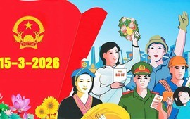 Gần 79 triệu cử tri cả nước đi bầu cử