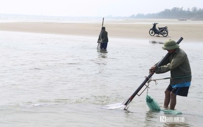 Cận cảnh nhọc nhằn nghề khom lưng trong sóng biển kiếm ngao mưu sinh