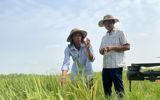 Đổi mới quy định công nhận nông thôn mới giai đoạn 2026-2030