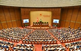 Quốc hội tiến hành bầu Chủ tịch nước, Thủ tướng Chính phủ