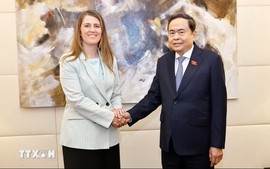 Tăng cường tin cậy chính trị và mở rộng quan hệ hữu nghị truyền thống, giao lưu nhân dân Italy - Việt Nam