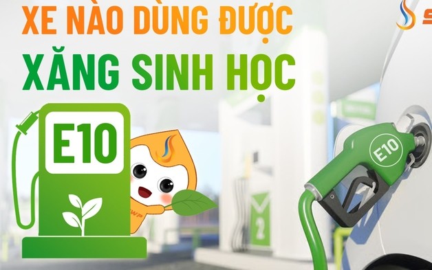 Xăng E10 bán đại trà, các hãng công bố mẫu xe tương thích và chế độ bảo hành