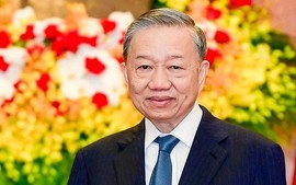 Thành lập Ban Chỉ đạo Trung ương về đối ngoại và hội nhập quốc tế