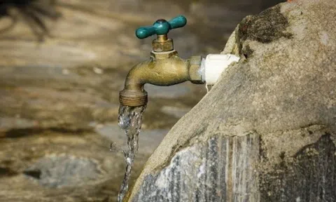 Một cổ phiếu phòng thủ bền bỉ tăng giá, đáng chú ý với một phiên "kịch trần"