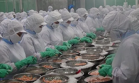 Tạm quên năm 2023 đầy ảm đạm, Seadanang đặt mục tiêu lợi nhuận tăng hơn 1.200%