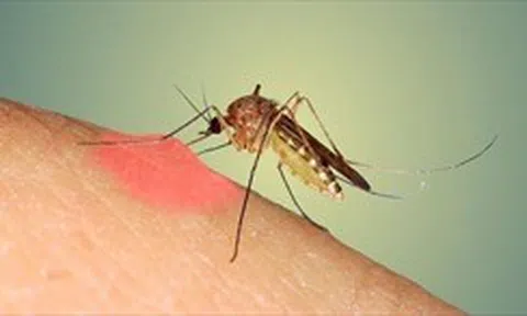 Đồng Nai ghi nhận ca tử vong đầu tiên do sốt xuất huyết