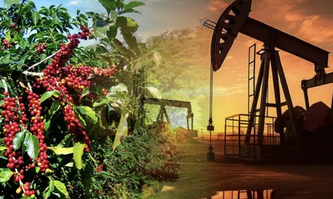 Chỉ số hàng hóa MXV-Index trở lại vùng đỉnh 7 tháng