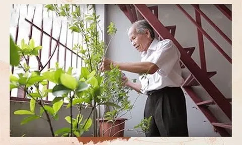 Giờ tay chân cầm nắm chính xác, đi lại dễ dàng, chẳng ai tin tôi bị bệnh Parkinson