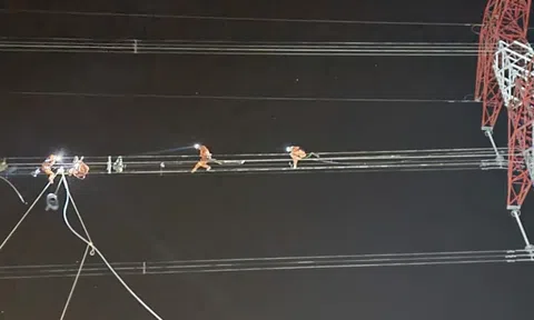 PTC3 diễn tập bảo đảm an toàn vận hành hệ thống truyền tải điện mùa khô 2024