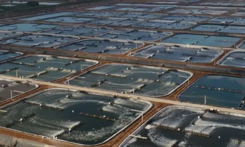 Quý I/2024: Thực phẩm Sao Ta báo lãi hơn 57 tỷ đồng, tăng gần 18%