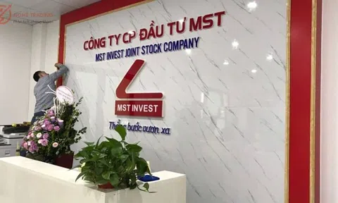 Đầu tư MST thoát lỗ năm 2023 nhờ hoạt động bất thường, kiểm toán đưa ra ý kiến ngoại trừ, muốn đi vay trái phiếu giá trị bằng tổng tài sản