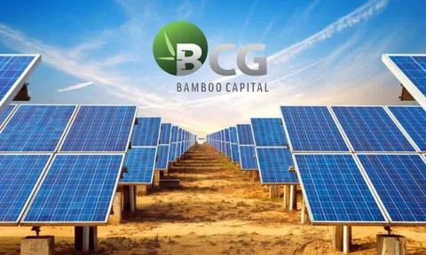 Mảng năng lượng tái tạo “toả sáng”, Bamboo Capital (BCG) báo lãi tăng gấp 11 lần