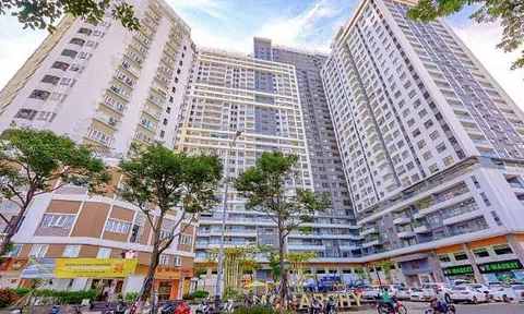 Thú vị ở Nhà Đà Nẵng (NDN): Lãi ròng cao gấp hơn 2 lần doanh thu bán hàng