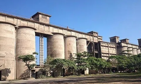 3 tháng đầu năm, ‘ông lớn’ xi măng Quảng Trị lãi vỏn vẹn gần 99 triệu đồng