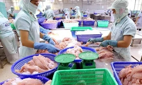 Thuỷ Sản Cửu Long An Giang báo lãi tăng hơn 20%, dư nợ tài chính hơn 700 tỷ đồng