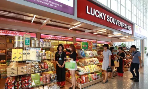 Taseco Airs (AST) ghi nhận doanh thu 2023 tăng 82%, chia cổ tức sau 3 năm tạm ngưng