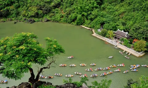 Quần thể Danh thắng Tràng An được quảng bá trên Google Arts & Culture