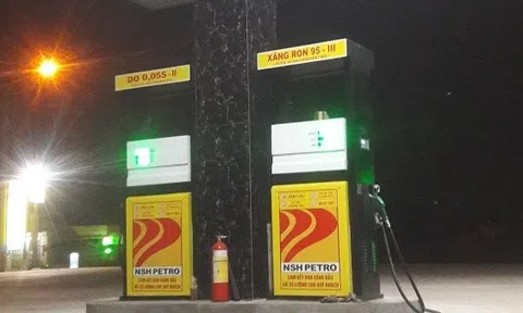 Nợ phải trả của NSH Petro (PSH) gấp 6 lần vốn chủ sở hữu