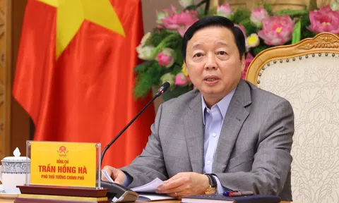 Sớm đề xuất mô hình hoạt động phù hợp cho Viện Nghiên cứu cao cấp về Toán