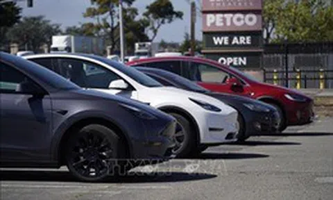 Nối tiếp đợt giảm giá tại Mỹ, Tesla hạ giá bán xe tại Trung Quốc