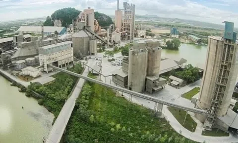 Xi măng Vicem Hà Tiên lại lỗ