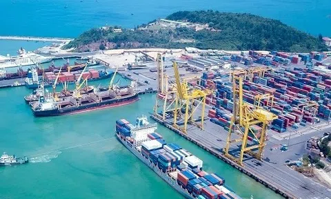 Doanh thu tăng cao, Cảng Đà Nẵng tiếp tục ‘gặt’ lãi hàng chục tỷ đồng