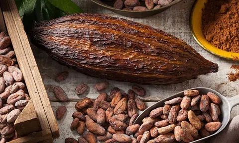 Giá ca cao lao dốc từ đỉnh lịch sử