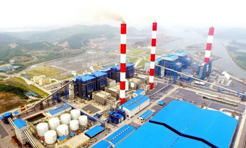 Nhiệt điện Phả Lại (PPC) báo lãi quý I/2024 tăng gần 4 lần cùng kỳ