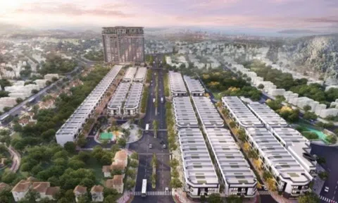 Đầu tư tài sản Koji (KPF) trắng doanh thu trong quý đầu năm 2024