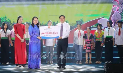 Quyền Chủ tịch nước Võ Thị Ánh Xuân dự phát động Tháng Nhân đạo cấp Quốc gia năm 2024