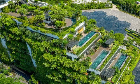 Flamingo báo lãi 175 tỷ đồng trong năm 2023, giảm 41% so với năm ngoái