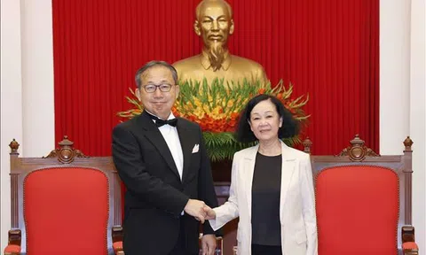 Thường trực Ban Bí thư Trương Thị Mai tiếp Đại sứ Nhật Bản