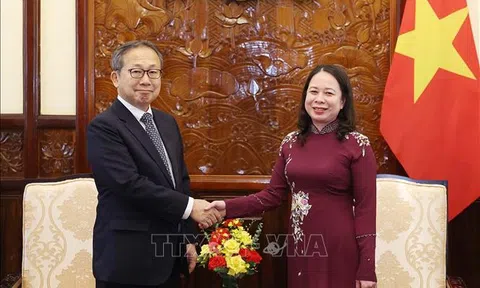 Quyền Chủ tịch nước Võ Thị Ánh Xuân tiếp Đại sứ Nhật Bản chào từ biệt
