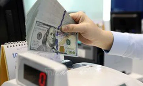 Khuyến cáo người dân mua bán ngoại tệ tại các tổ chức tín dụng được phép hoạt động