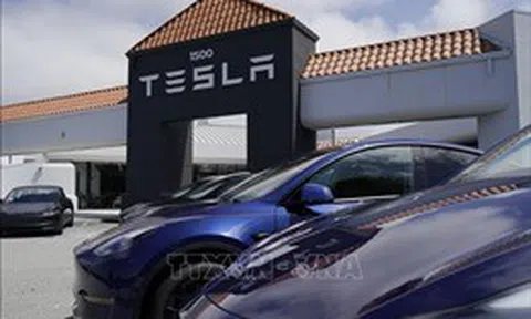 Hãng xe điện Tesla sẽ ra mắt nhiều mẫu xe mới sớm hơn dự kiến