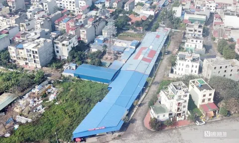 Hải Phòng: Tạm dừng triển khai bãi đỗ xe ô tô rộng hơn 10.000 m2