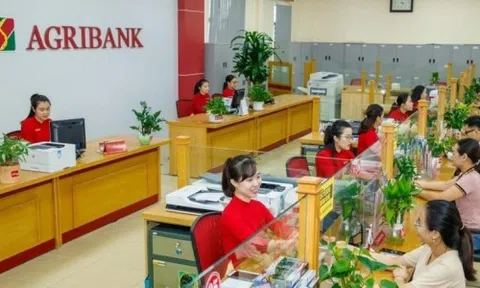 Gửi tiết kiệm 300 triệu đồng kỳ hạn 12 tháng tại ngân hàng Agribank nhận lãi ra sao?