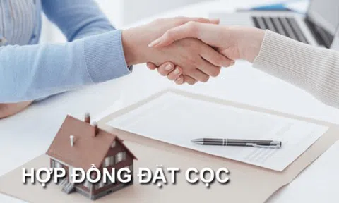 Đề xuất 2 phương án phạt cọc và trường hợp không phạt cọc