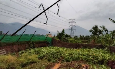 EVNNPC khẩn trương khắc phục sự cố lưới điện do mưa lớn, lốc xoáy