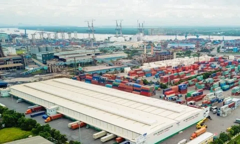 Container Việt Nam tăng sở hữu tại Vận tải và Xếp dỡ Hải An