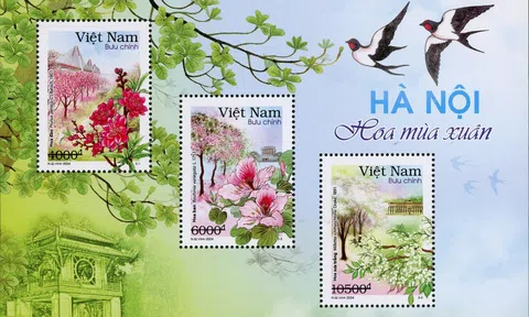 Giới thiệu bộ tem “Hà Nội 12 mùa hoa”