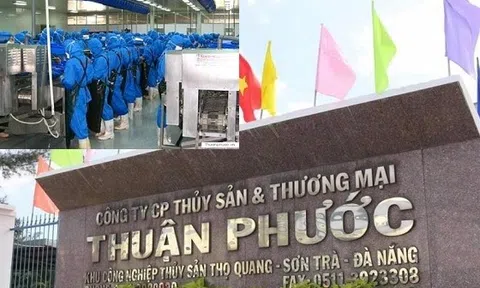 Thủy sản và Thương mại Thuận Phước bất ngờ giảm lãi 95% dù doanh thu tăng hàng trăm tỷ
