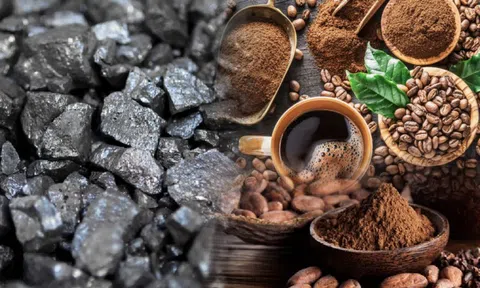 Thị trường hàng hóa rơi vào xu hướng giằng co sau khi đạt đỉnh 7 tháng