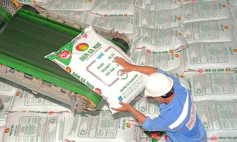 Xuất khẩu thuận lợi, Đạm Cà Mau (DCM) báo lãi 350 tỷ đồng, “của để dành” tăng gấp 14 lần