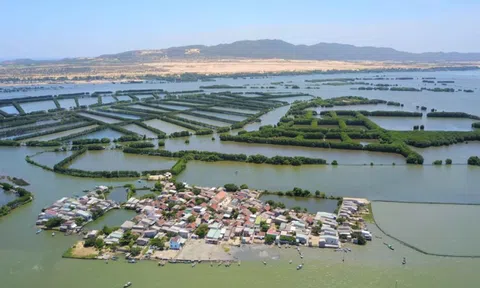 Đề xuất chấm dứt Dự án Khu vui chơi giải trí đầm Thị Nại gần 800 tỷ đồng ở Bình Định