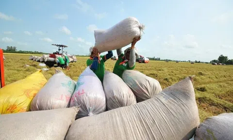 Việt Nam lọt top 5 nhà cung cấp thuỷ sản lớn tại Singapore