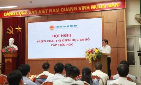 Học sinh tiểu học được gắn mã định danh chuẩn bị triển khai học bạ số