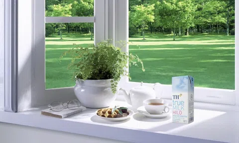 Lý do sữa tươi TH true Milk Hilo được nhiều gia đình ưa chuộng
